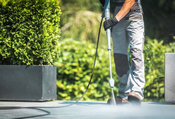 Best Roof Washing  in Reinbeck, IA