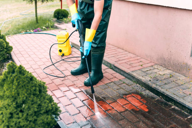 Best Animal Enclosure Cleaning  in Reinbeck, IA