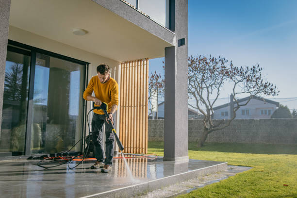 Best Solar Panel Cleaning  in Reinbeck, IA