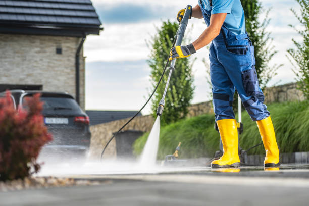 Best Building Exterior Washing  in Reinbeck, IA